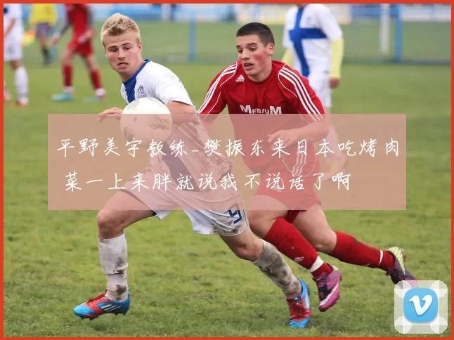 平野美宇教练_樊振东来日本吃烤肉 菜一上来胖就说我不说话了啊