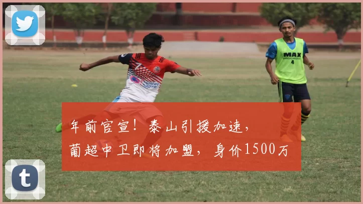 年前官宣！泰山引援加速， ​​​葡超中卫即将加盟，身价1500万