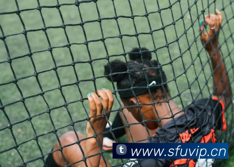 九游体育官方下载平台生态图